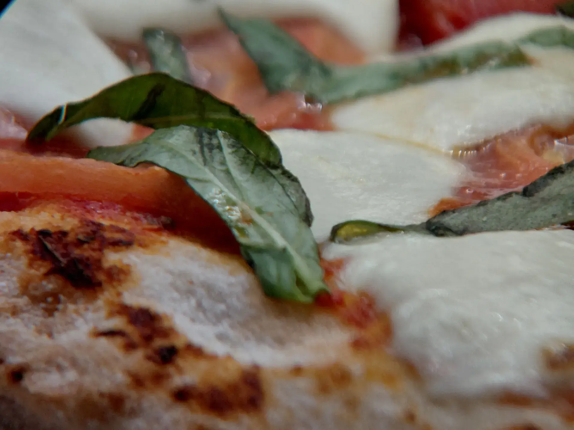 Charred pinsa crust with basil and mozzarella.